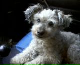 Фотография Конюхова Евгения