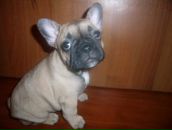 Фотография Мельникова Юрия