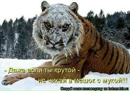 Ірина Федоренко фотография #17 (источник - https://vk.com/id19467268)