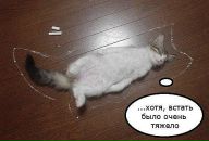 Ірина Федоренко фотография #9 (источник - https://vk.com/id19467268)