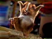 Фотография Тронина Анжелика