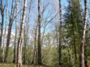 Денис Савельев фотография #21 (источник - https://vk.com/id2126692)