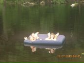 Аліна Городнича фотография #14 (источник - https://vk.com/id52548755)