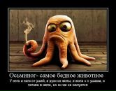 Фотография Корюгиной Юлии