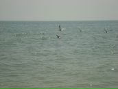 Галіна Харко фотография #29 (источник - https://vk.com/id25403111)