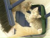 Фатима Добаева фотография #24 (источник - https://vk.com/id2943771)