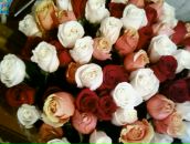 Фотография Евсеева Никифоровой Екатерины