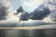 Фотография Никифоровой Алины