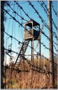 Іван Березюк фотография #9 (источник - https://vk.com/id36657695)