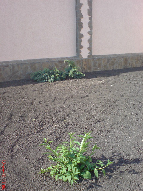 Андрей Sуb@rиn фотография #48