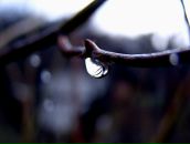 Фотография Воронин Александр