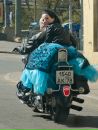 Фотография Оружейников Владимир