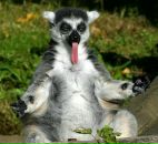 Андрій Маркута фотография #1