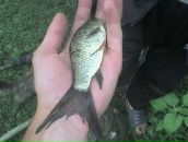 Мішка Тирпак фотография #14 (источник - https://vk.com/id93025430)