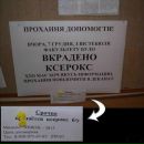 Κирилл Αлексеев фотография #3 (источник - https://vk.com/id301598747)