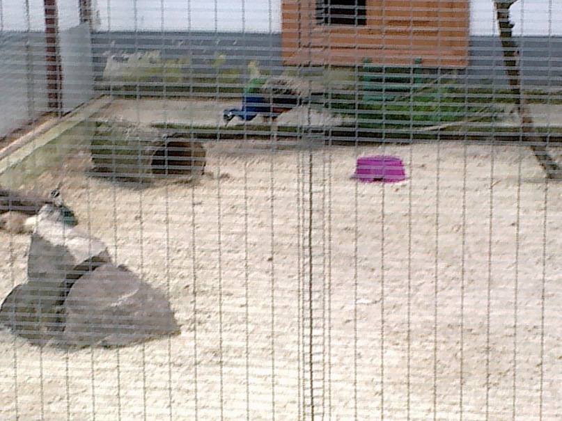 Сергей Бойко фотография #34