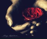 Фотография Никитина Андрея