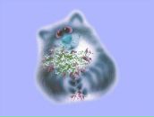 Фотография Шарафутдиновой Елизаветы