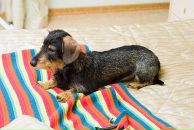 Роман Масалёв фотография #10 (источник - https://vk.com/id108017)