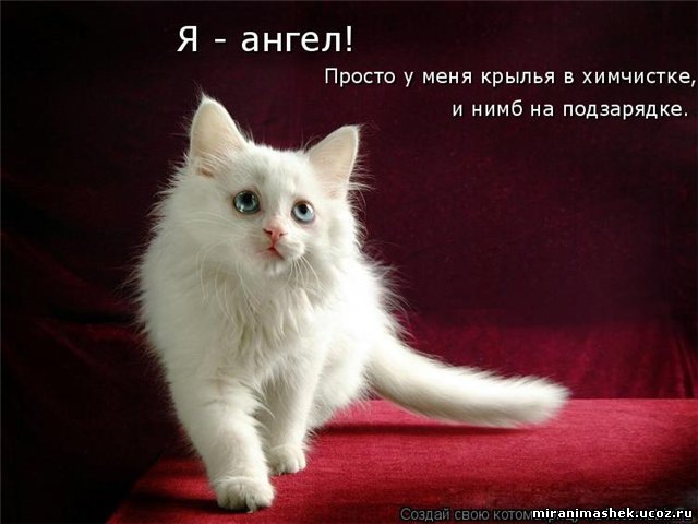 Елена Шугаева фотография #33