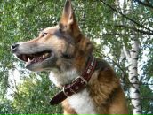 Фотография Легошиной Екатерины