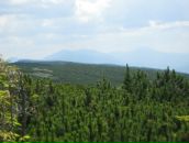 Віктор Гутак фотография #16 (источник - https://vk.com/id119080217)