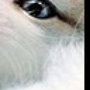 Марія Пятничук фотография #34 (источник - https://vk.com/id84135162)