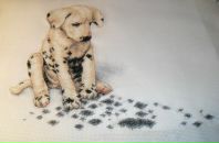 Фотография Кузьминой Полины