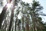 Фотография Викторовича-Гришичева Евгения