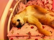 Наталія Гордей фотография #13 (источник - https://vk.com/id44601639)