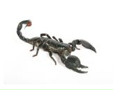 Фотография Каткова Сергея