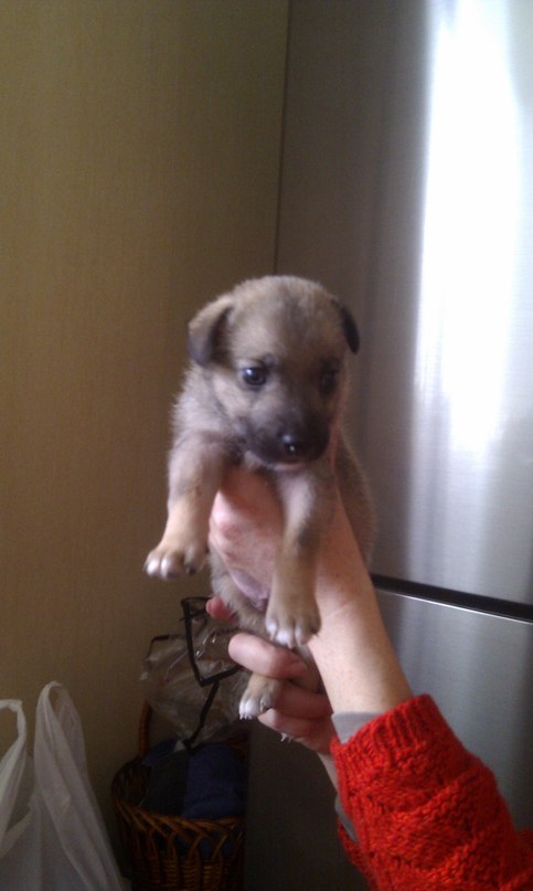 Oolexandra Olexandra фотография #39