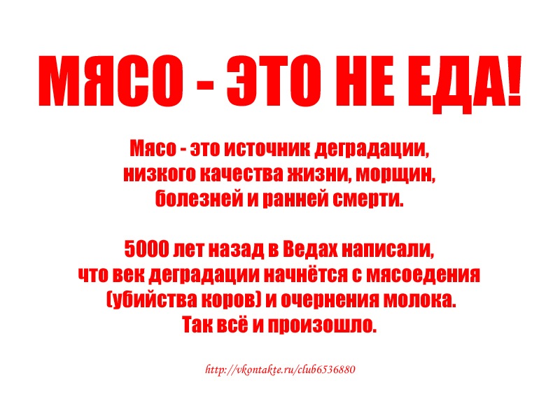 Wolf Ss фотография #35