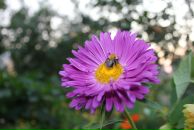 Фотография Денисенко Ольги