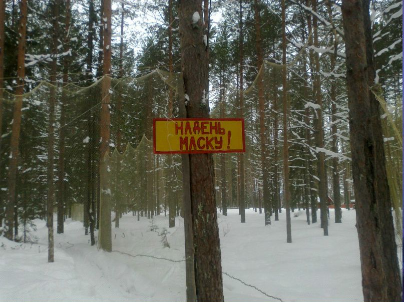 Виктор Попов фотография #24