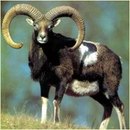 Фотография Александровой Ирины