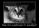 Фотография Шаровой Светланы