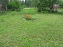 Ленусик =.= фотография #21 (источник - https://vk.com/id142083503)
