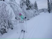 Фотография Антипов Сергей