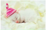 Фотография Линкиной Екатерины