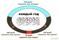 Фотография Шушниной Арины