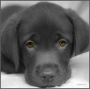 Марієтта Северюхіна фотография #20 (источник - https://vk.com/id149093378)