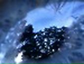 Антон Буревич фотография #50 (источник - https://vk.com/id68283468)