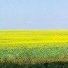 Руслан Білецький фотография #13 (источник - https://vk.com/id21558639)