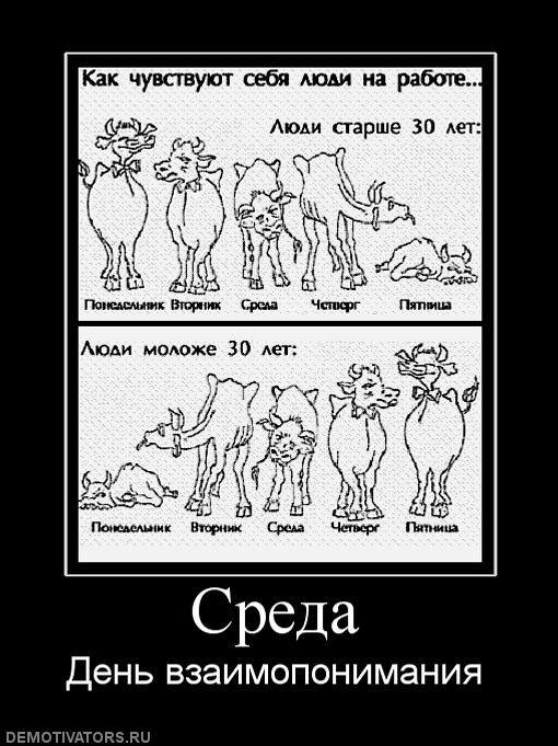 Сергей Нечкин фотография #18