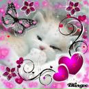 Наталия Беляєва фотография #8 (источник - https://vk.com/id110853850)