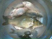 Бодя Хлібкевич фотография #24 (источник - https://vk.com/id54482358)