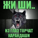 Катько Бирюкова фотография #9 (источник - https://vk.com/id26086263)