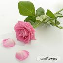 Марішка Руцька фотография #23 (источник - https://vk.com/id157698249)