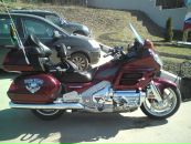 Фотография Петухова Анастасия